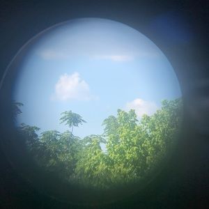 Meet your Posher, Maylani